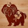 A small, fluffy dog breed with a sweet expression standing on its hind legs.