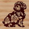 A small breed dog sitting on its haunches, with a delicate floral pattern in the background.