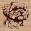 Cute Shih Tzu Head Close-Up A close-up of a Shih Tzu's head, highlighting its distinctive features as a popular household pet.
