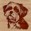 Cute Shih Tzu Breed Characteristic Illustration A small breed dog with a flat face and long fur, typical characteristics of the Shih Tzu.