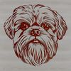 A close-up view of a Shih Tzu's head with its distinctive features.