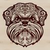 Illustrated Dog Breed Illustration A detailed illustration of a Shih Tzu's head, suitable for vector design and editing in software such as Illustrator.