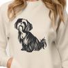 Beautiful Shih Tzu - For Animal Project