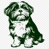 Unique Shih Tzu PNG