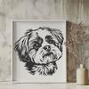 Creative Shih Tzu - For Pet Project