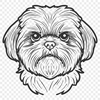 Shih Tzu Design In PNG & SVG - Free Digital Download