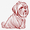 Creative Shih Tzu Design