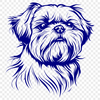 Unique Shih Tzu Illustration