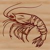 Vector Shrimp Design Free Download A detailed illustration of a shrimp in vector format.