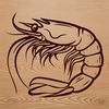 Beautiful Marine Delicacy Illustration A detailed illustration of a shrimp, a type of marine animal often used as food in various cuisines.