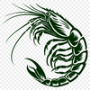 Free Shrimp PNG