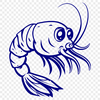 Shrimp In DXFs - Free Commercial Use License