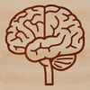 SVG Anatomy Diagram Free Download A simple line drawing illustration of the human brain's internal structure.