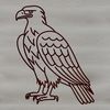 A simple line drawing illustration of a bird perched on a branch, identified as an eagle.