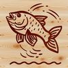 Colorful Crappie Illustrations in Various Poses A simple line drawing of a Crappie fish in various poses.