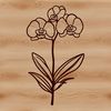 A simple line drawing of a delicate orchid flower in a stylized design.