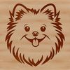Pomeranian Portrait Illustration A simple line drawing of a Pomeranian's head, suitable for vector design.