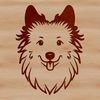 Adorable Sheltie Portrait An illustrative vector image of a Shetland sheepdog breed dog.