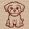Sweet Sitting Havanese Breed Illustration A simple line drawing of a sitting dog breed, the Havanese.