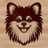 Vector illustration of a Pomeranian breed dog's portrait.