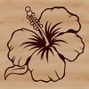 Simple Hibiscus Flower Illustration A simple line drawing of a hibiscus flower, suitable for gardening and floral design projects.