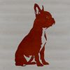 A sitting Boston Terrier with a cute and expressive face.