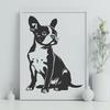 A vector illustration of a sitting Boston Terrier dog breed.