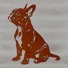 Beautiful Vector Animal Portrait Vector graphic design of a seated Boston Terrier animal.