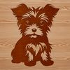 Adorable Yorkshire Terrier Sitting Portrait A small breed dog with a distinctive coat pattern sits on its haunches.