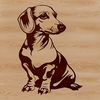 Cute Dachshund Breed Illustration in Vector A sitting Dachshund breed dog illustration in vector format.