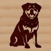 A sitting Rottweiler dog breed illustration in vector format.