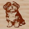 Friendly Facial Expression Dog Breed A compact dog breed with a long coat and friendly expression is sitting on its haunches.