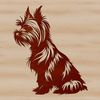 A small breed dog, sitting upright with a compact body.