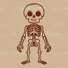 A stylized illustration of a standing skeleton, suitable for various digital and craft applications.