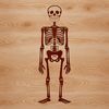 Silhouetted Human Skeletal Form An isolated SVG rendering of a human skeleton silhouette.
