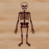 Standing Skeleton Vector Illustration A standing skeleton with a human body structure, suitable for use in vector designs and clip art.