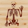 A detailed illustration of a standing skeleton from head to toe, suitable for various digital and printing applications.