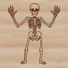 An editable vector design of a skeleton, suitable for various applications including graphic design and crafting projects.