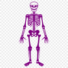 Unique Human Body In SVG - Digital Download