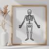 Free Unique Skeleton Printable Image PNG - Commercial Use