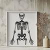 Free Skeleton Files For Digital Download In DXF Format