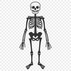 Free Skeleton Files For Digital Download In PDF Format