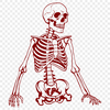 Free Skeleton In SVG - Free Digital Download