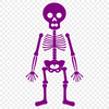 Stunning Skeleton In PDF Free Commercial Use Download