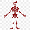 Artistic Skeleton Clip Art - Free PDF Download