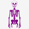 Skeleton In SVG Format - Free Commercial Use License