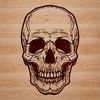 A detailed illustration of a human skull, ideal for creating Halloween-themed designs or tattoos.
