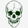 Free Skull In SVG - Free Download