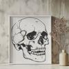 Stunning Skull In SVG Free Commercial Use Download