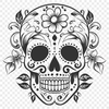 Free Skull - For Procreate Project